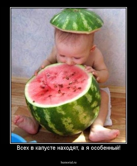 Всех в капусте находят, а я особенный!