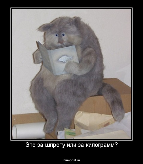 Это за шпроту или за килограмм?