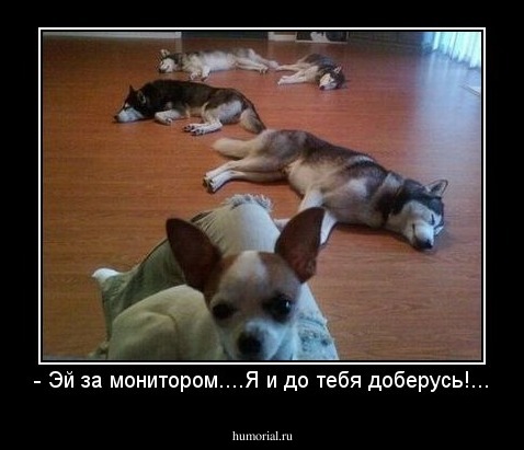 - Эй за монитором....Я и до тебя доберусь!...