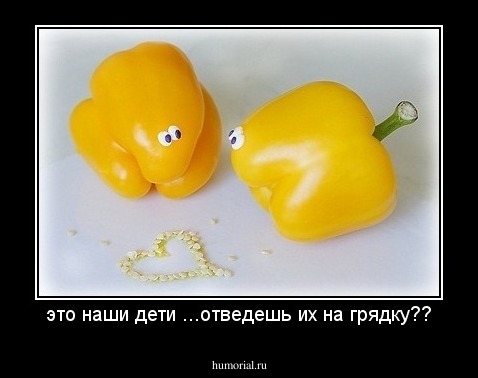 это наши дети ...отведешь их на грядку??