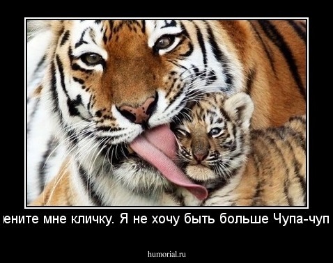 - Смените мне кличку. Я не хочу быть больше Чупа-чупсом!