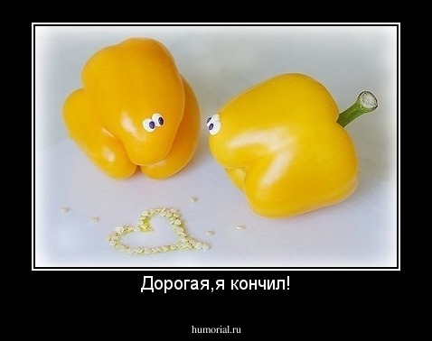 Дорогая,я кончил!