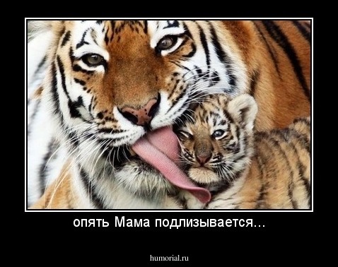 опять Мама подлизывается...