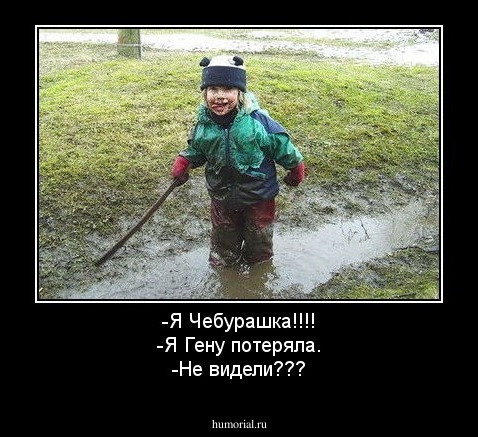 -Я Чебурашка!!!!
-Я Гену потеряла.
-Не видели???