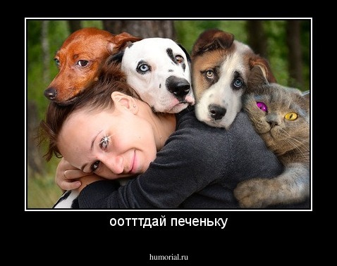 оотттдай печеньку