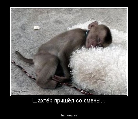 Шахтёр пришёл со смены...