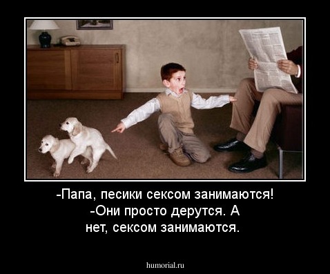 -Папа, песики сексом занимаются!
-Они просто дерутся. А нет, сексом занимаются.  

