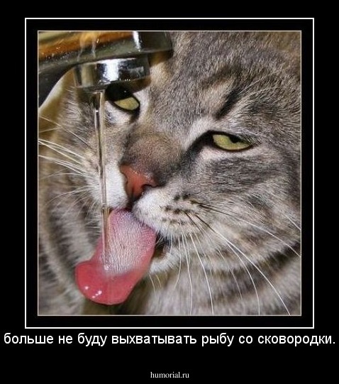 больше не буду выхватывать рыбу со сковородки.