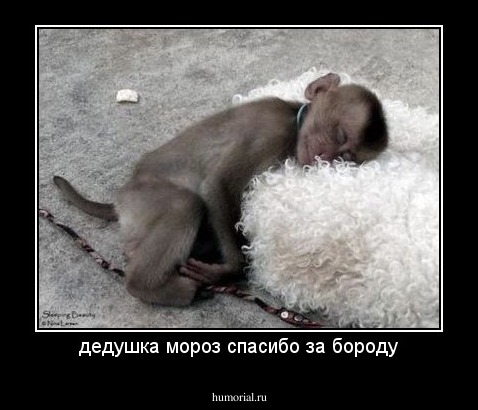 дедушка мороз спасибо за бороду