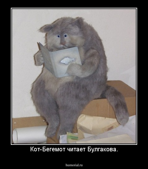 Кот-Бегемот читает Булгакова.