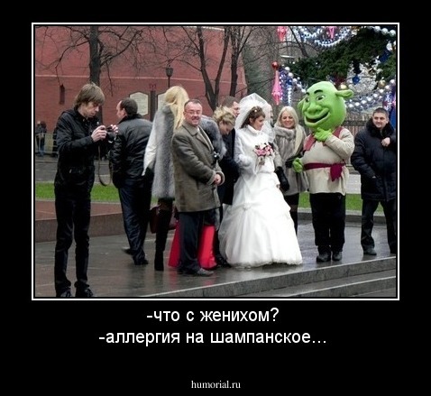-что с женихом? 
-аллергия на шампанское... 