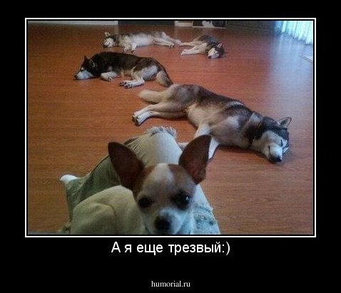 A я еще трезвый:)