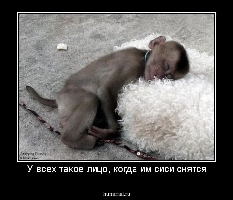 У всех такое лицо, когда им сиси снятся