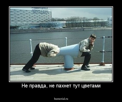 Не правда, не пахнет тут цветами