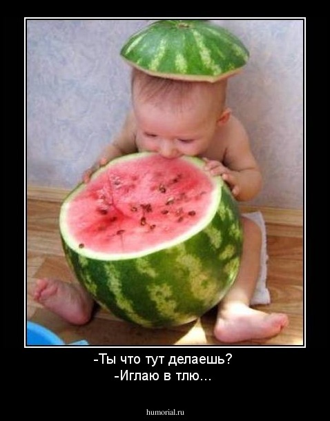 -Ты что тут делаешь? 
-Иглаю в тлю... 