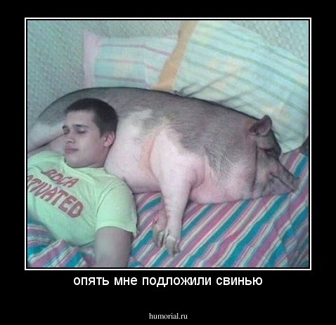 опять мне подложили свинью