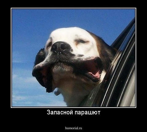 Запасной парашют