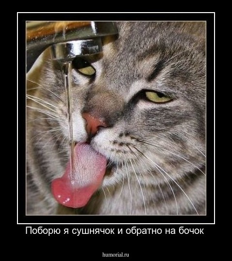 Поборю я сушнячок и обратно на бочок 