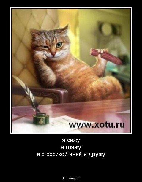я сижу
я гляжу
и с сосикой аней я дружу
