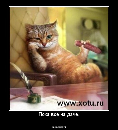 Пока все на даче.