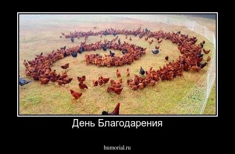 День Благодарения