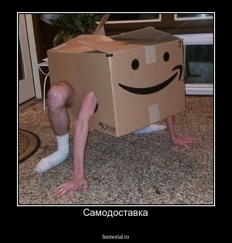 Самодоставка