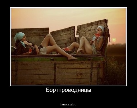 Бортпроводницы
