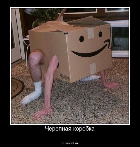 Черепная коробка