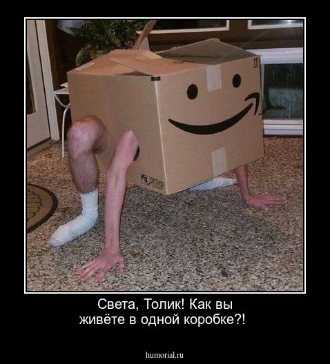 Света, Толик! Как вы живёте в одной коробке?!