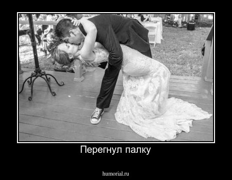 Перегнул палку