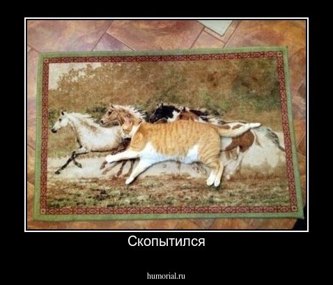 Скопытился