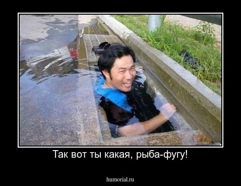 Так вот ты какая, рыба-фугу!
