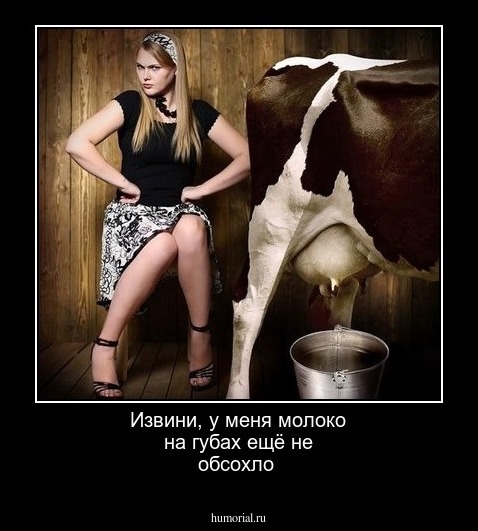 Извини, у меня молоко на губах ещё не обсохло