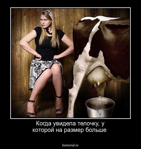 Когда увидела телочку, у которой на размер больше