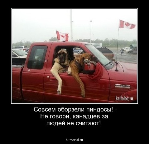-Совсем оборзели пиндосы!

- Не говори, канадцев за людей не считают!
