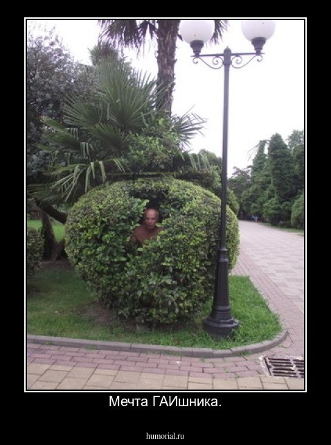 Мечта ГАИшника.