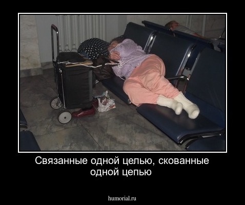 Связанные одной целью, скованные одной цепью
