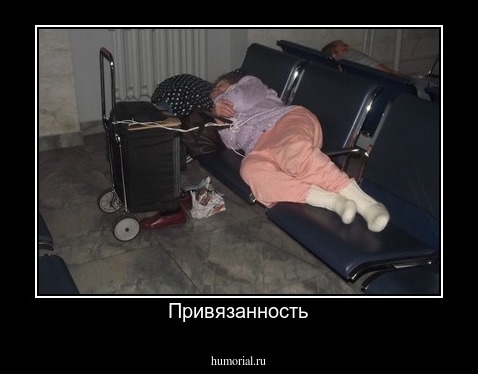 Привязанность