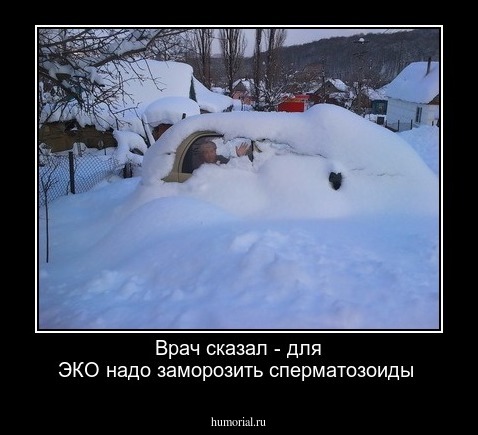 Врач сказал - для ЭКО надо заморозить сперматозоиды
