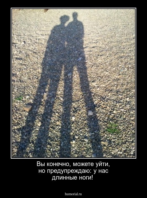 Вы конечно, можете уйти, но предупреждаю: у нас длинные ноги!