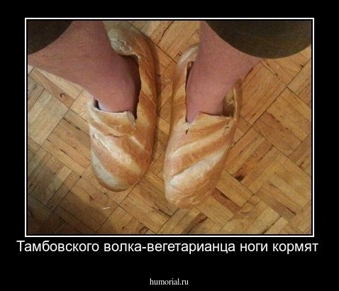 Тамбовского волка-вегетарианца ноги кормят