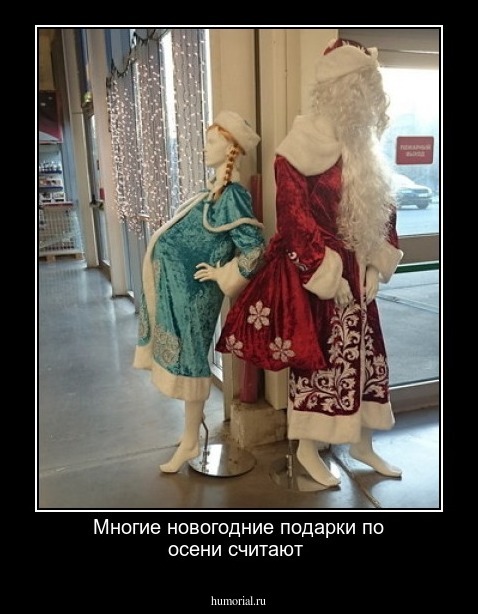 Многие новогодние подарки по осени считают