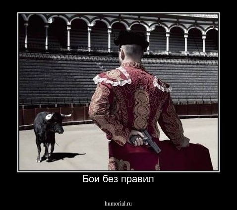 Бои без правил