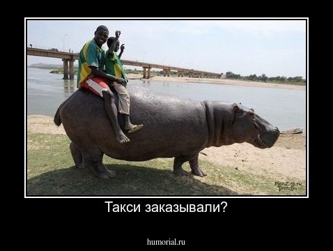 Такси заказывали?
