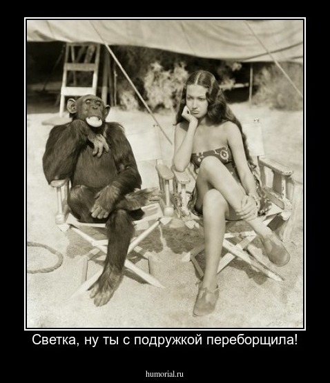 Светка, ну ты с подружкой переборщила!