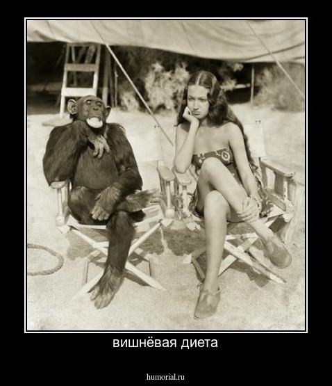 вишнёвая диета