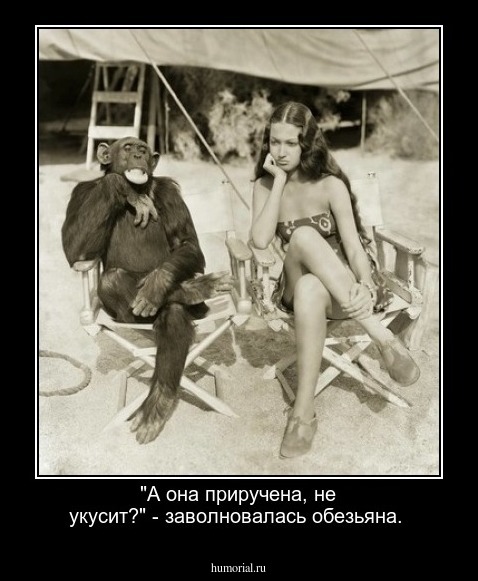 "А она приручена, не укусит?" - заволновалась обезьяна.