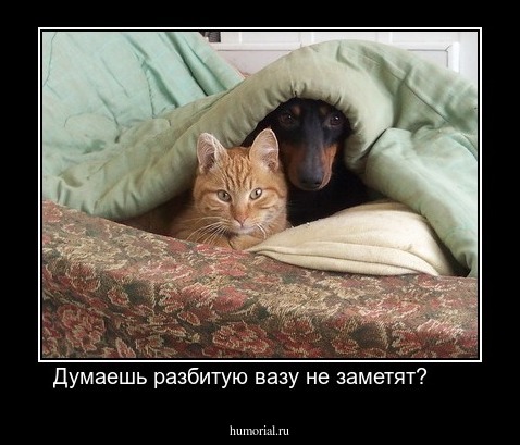 Думаешь разбитую вазу не заметят?      