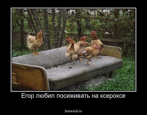 Егор любил посиживать на ксероксе