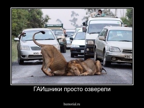 ГАИшники просто озверели